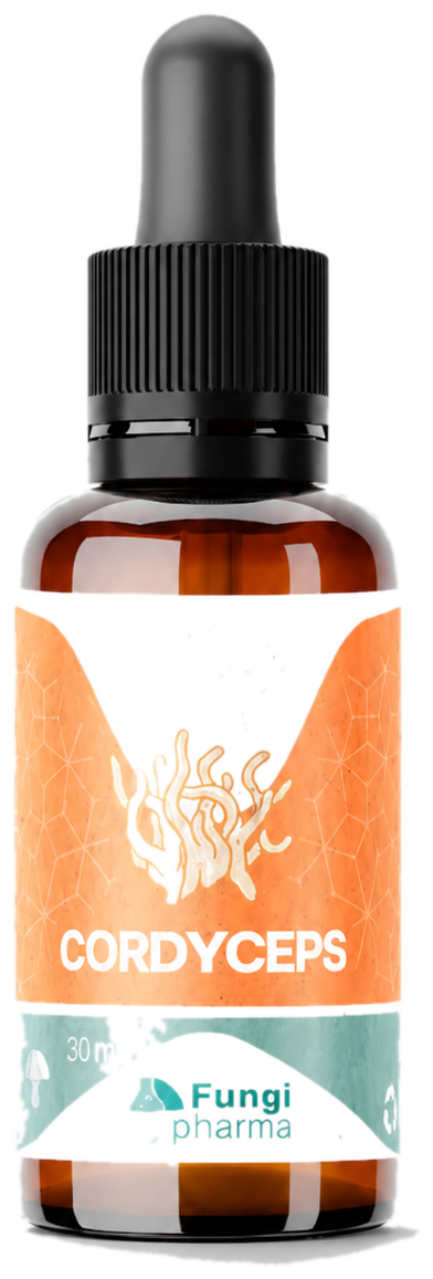 Extracto Cordyceps